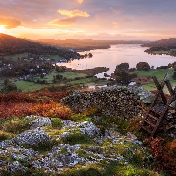 Meet your Posher, Leo - Picture 1 of 1